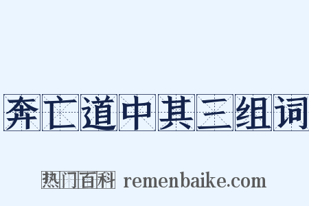 奔亡道中其三组词是什么意思的图片